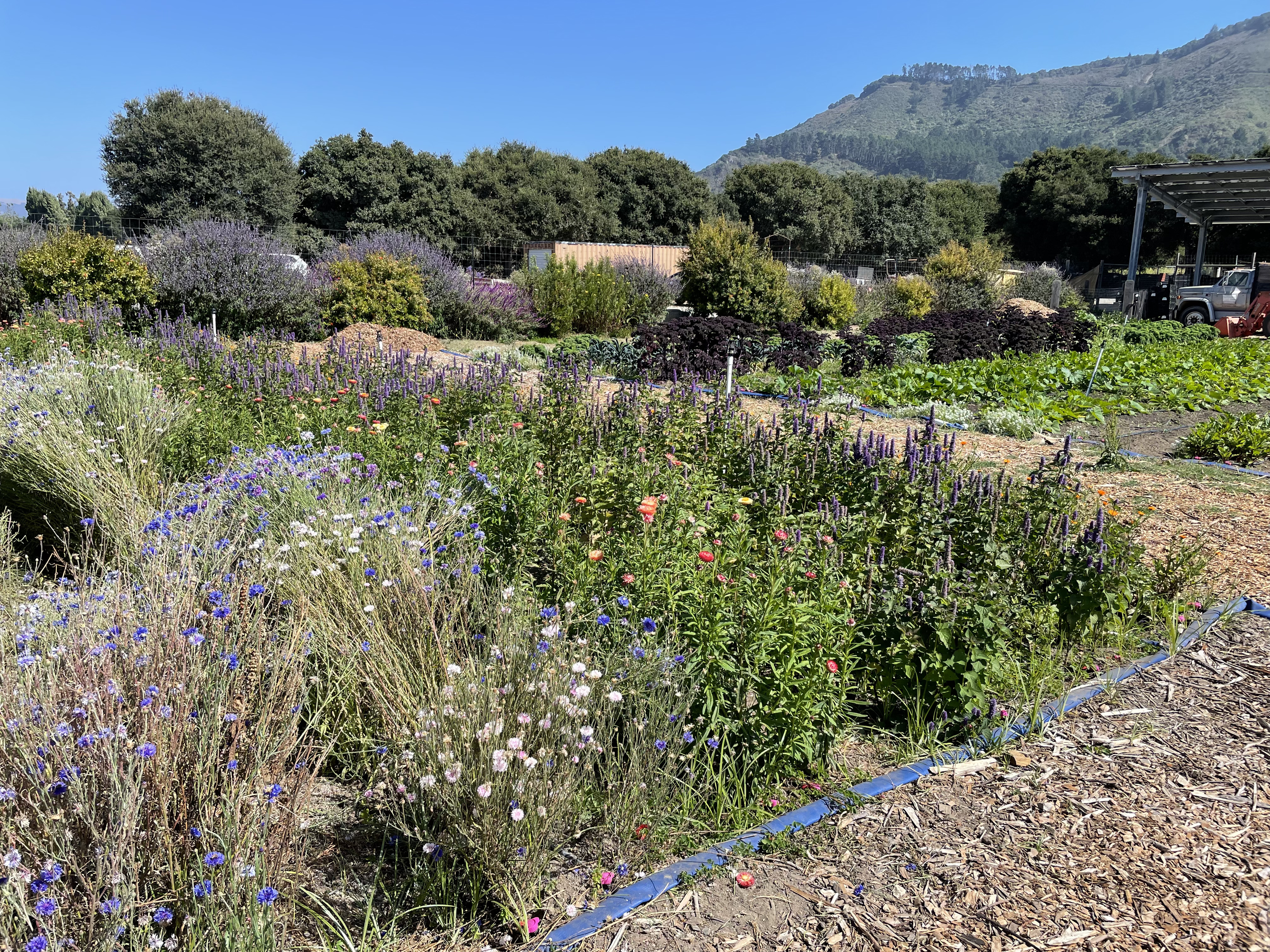 Agricultural field operations
